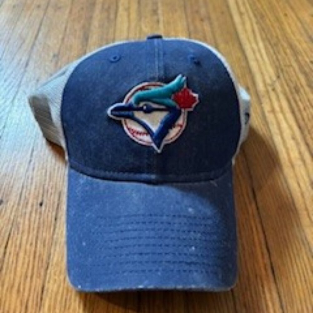 New Era Toronto Blue Jays 2920 hat